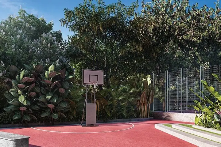Basketball Court